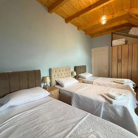 Villa Bushati *